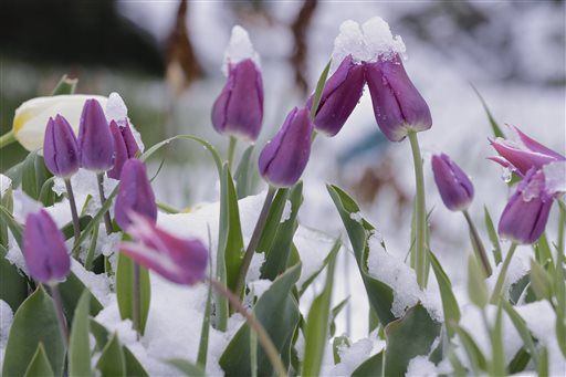 Spring Snowstorm Nebraska